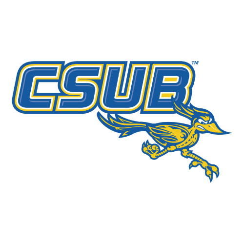 CSU Bakersfield Roadrunners logo Iron-on Transfers N4056